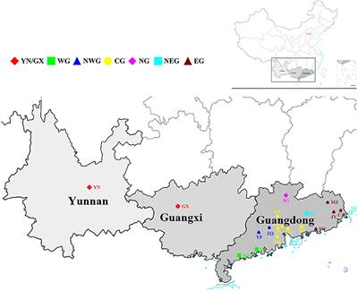 Genetic Diversity and Population Structure of Schima superba From Southern China